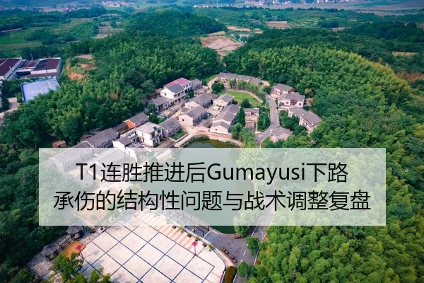 T1连胜推进后Gumayusi下路承伤的结构性问题与战术调整复盘