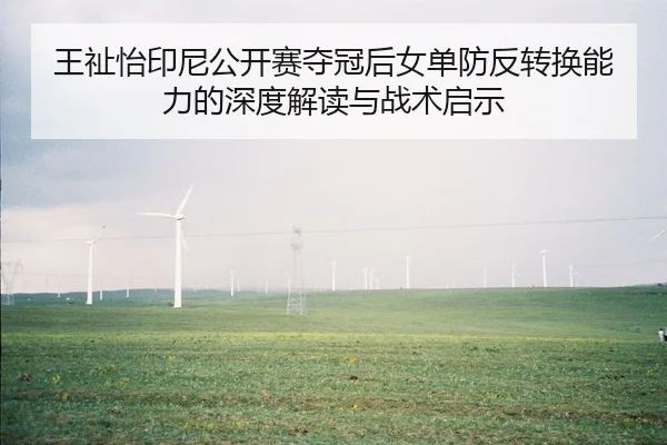 王祉怡印尼公开赛夺冠后女单防反转换能力的深度解读与战术启示