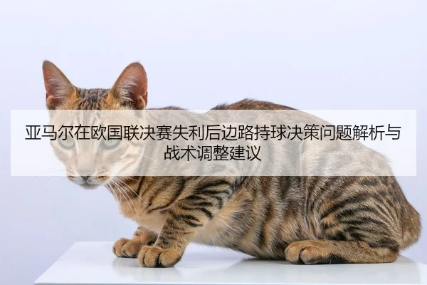 ya-ma-er-zai-ou-guo-lian-jue-sai-shi-li-hou-bian-lu-chi-qiu-jue-ce-wen-ti-jie-xi-yu-zhan-shu-tiao-zheng-jian-yi-2-657.jpg